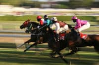 Melbourne Spring Racing Carnival Package – Race Day Cruise
