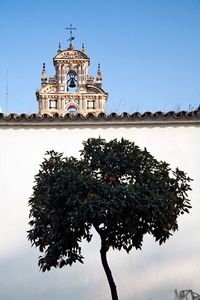 Visita a pie y fotografía de Sevilla