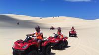 Dune Surfing e tour in quad da Città del Capo