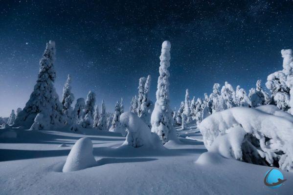 Descubra as fabulosas paisagens da Lapônia no inverno e suas luzes do norte