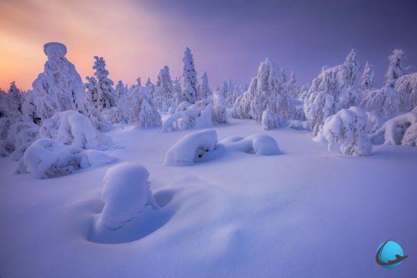 Discover the fabulous landscapes of Lapland in winter, and its northern lights