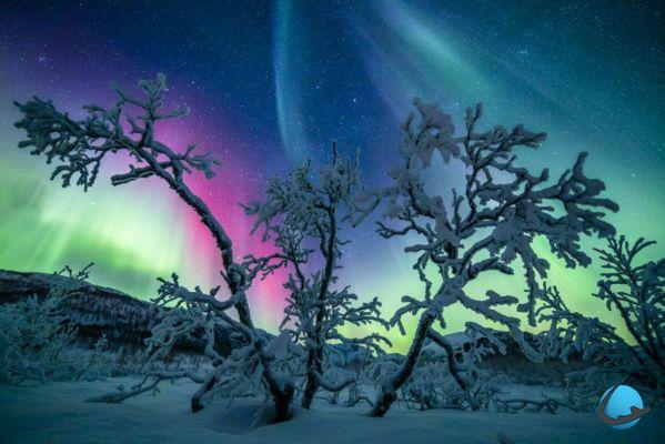 Descubra as fabulosas paisagens da Lapônia no inverno e suas luzes do norte