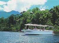 Cape Tribulation, Daintree River Cruise e Bloomfield Track Small Group Tour