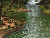 Excursión de un día a Cairns Tablelands, Waterfalls, Spanish Castle y Mamu Canopy Walk