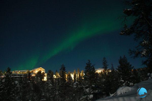 Finlandia o Norvegia: dove andare per riconnettersi meglio con la natura?