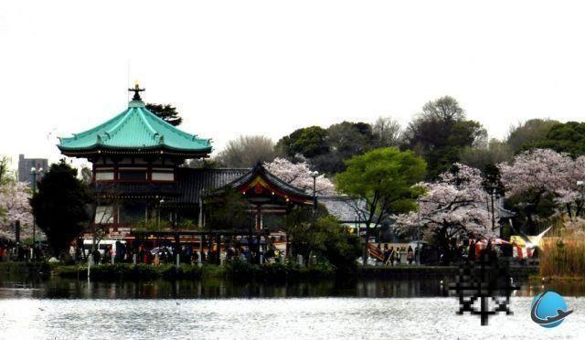 10 lugares imperdíveis para ver em Tóquio