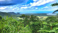 Excursión privada de un día al Parque Nacional Daintree desde Cairns, incluidos Cape Tribulation y Mossman Gorge