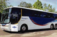 Round trip transfers from Fortaleza airport