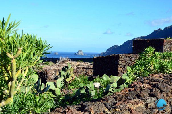¿Por qué ir a Canarias? ¡Volcanes, playas y tapas!