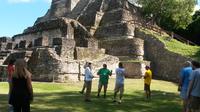 Visit Altun Ha and the city of Belize