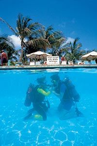 Introduction to Diving in Aruba