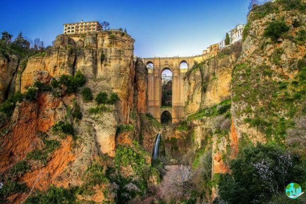 Andalusia #2: cosa fare a Malaga?
