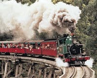 Excursión de un día al tren de vapor Puffing Billy, Yarra Valley y Healesville Nature Sanctuary