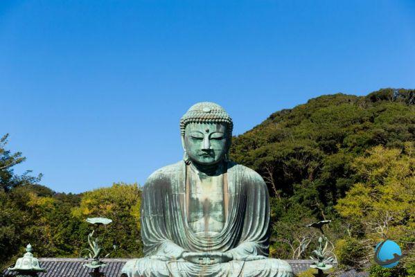 Visite Japón: ¡nuestros consejos prácticos!