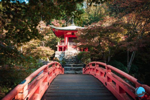 Visite o Japão: nossos conselhos práticos!