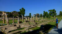Recorrido de medio día por la campiña pacífica de Attica: Templo de Artemisa en Brauron