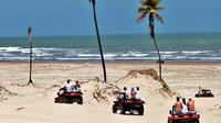 Private Full Day Tour from Salvador to Mangue Seco White Sand Dunes