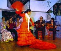 Cena andalusa e spettacolo di flamenco a Barcellona