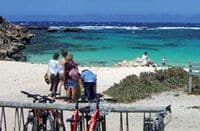 Full-day tour of Rottnest Island from Perth