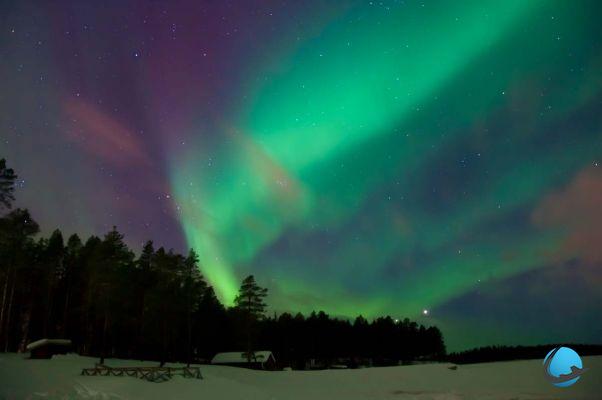 Le 15 foto più belle dell'aurora boreale