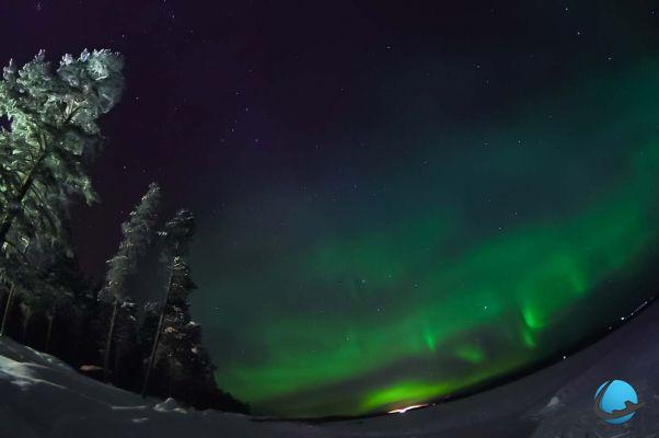 Las 15 imágenes más bellas de la aurora boreal