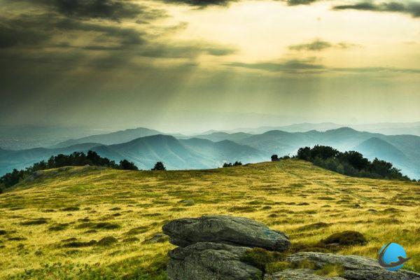 Heading for the Carpathians: why visit Romania?