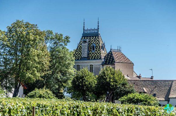 Visiting Beaune: what to do and what to see?