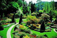 Recorrido turístico por la ciudad de Victoria y los jardines Butchart desde Victoria