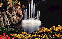 Victoria City and Butchart Gardens Sightseeing Tour from Victoria