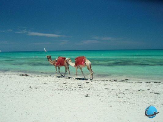 What to see in Djerba? 8 must-see visits!
