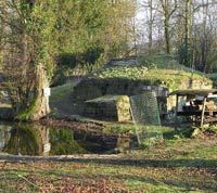 Tour de un día por Londres en el campo de batalla belga: saliente de Ypres