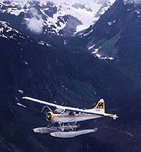 Seaplane Tour of Mamquam Mountain and the Alpine Lakes from Vancouver