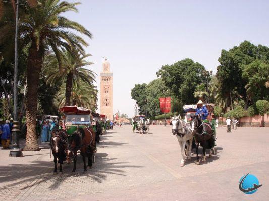 Visite Marrakech: conselhos práticos para viajantes