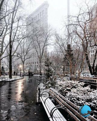 Snowzilla: the most beautiful photos of the snowstorm in the USA