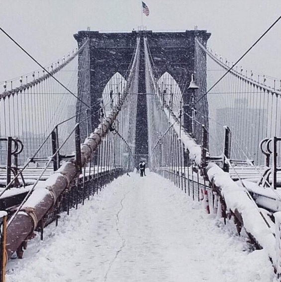 Snowzilla: las fotos más bellas de la tormenta de nieve en EE. UU.