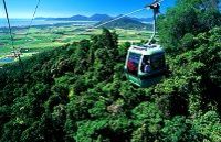 Full-Day Rainforest Cable Car Tour from Palm Cove