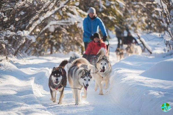 10 places to go dog sledding in Quebec