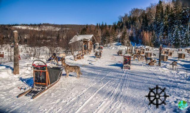 10 posti dove andare a sleddog in Quebec