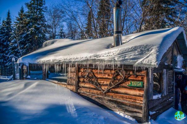 10 posti dove andare a sleddog in Quebec