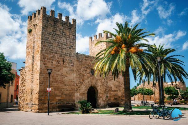 Visita Mallorca: ¡conoce todo antes de irte!