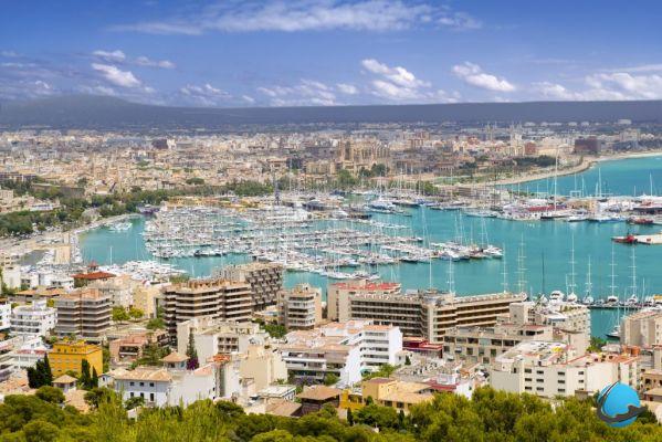 Visita Mallorca: ¡conoce todo antes de irte!