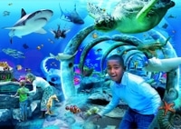 Skip the Line: Sea Life London Aquarium
