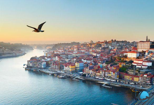 10 things to do while in Porto