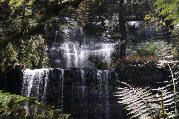 Mount Field National Park and Russell Falls from Hobart