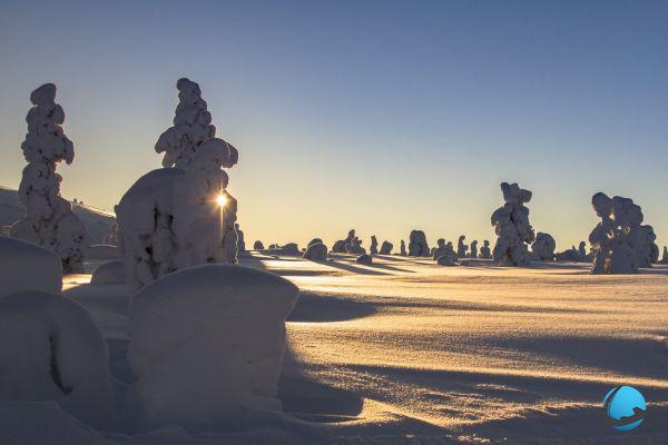Laponia finlandesa en invierno: una estancia majestuosa y mágica