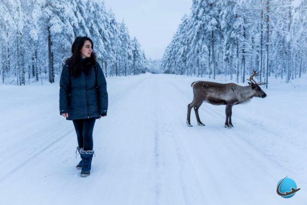 Lapônia finlandesa no inverno: uma estadia majestosa e mágica