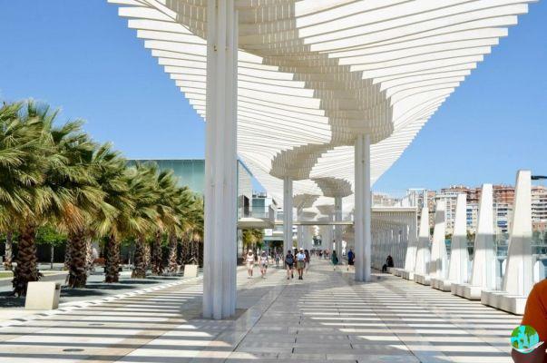 Visit Malaga: Tips and essentials for a visit to Malaga