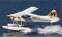 Scenic Seaplane Tour of Victoria