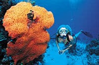 Excursão de mergulho duplo em Nassau