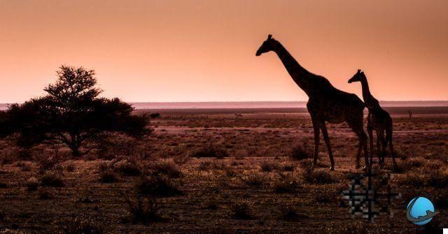 Namibia: viaggio ideale per un totale cambio di scenario